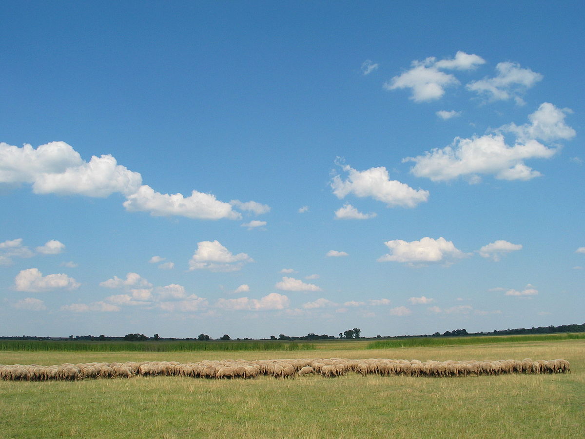  Hortobágyi-puszta